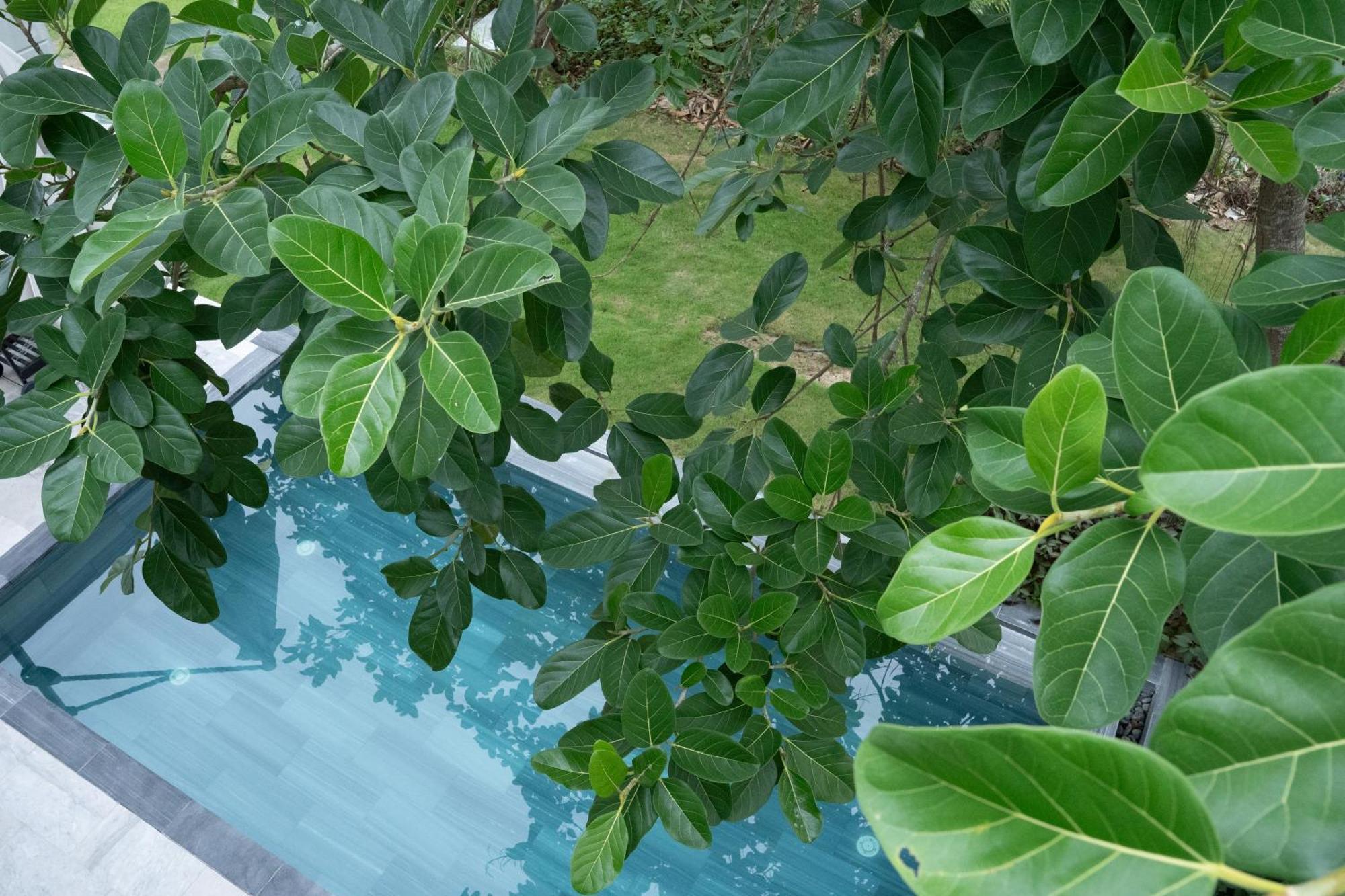 "Brg Golf Club" - Danang Private Pool Villa 3 Bedrooms #3 Екстериор снимка